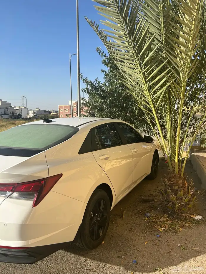النترا 2023 1