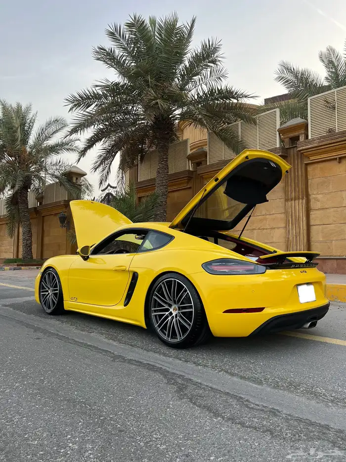 Cayman 2017 6