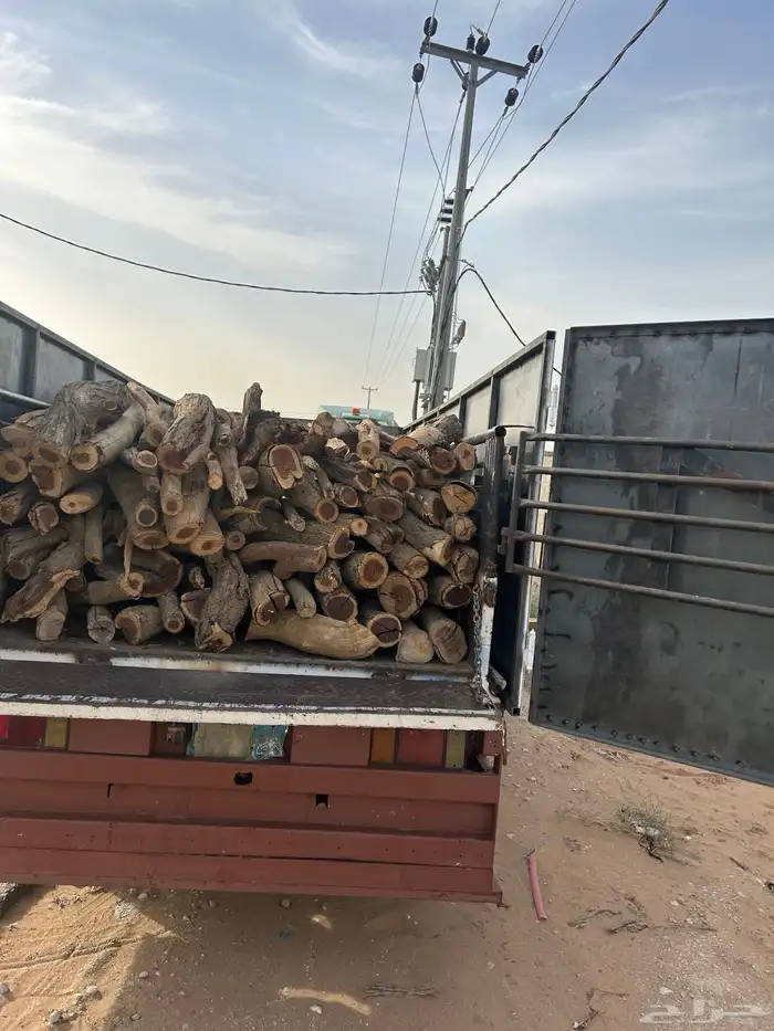 ح ط ب المدينه 2