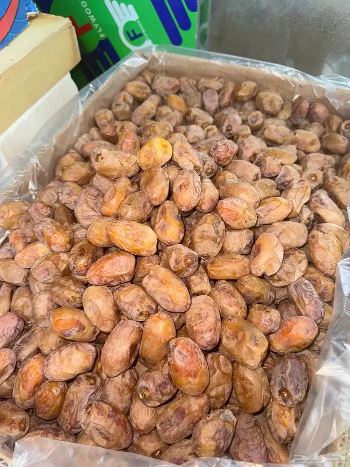 تمر خلاص أشيقر 3