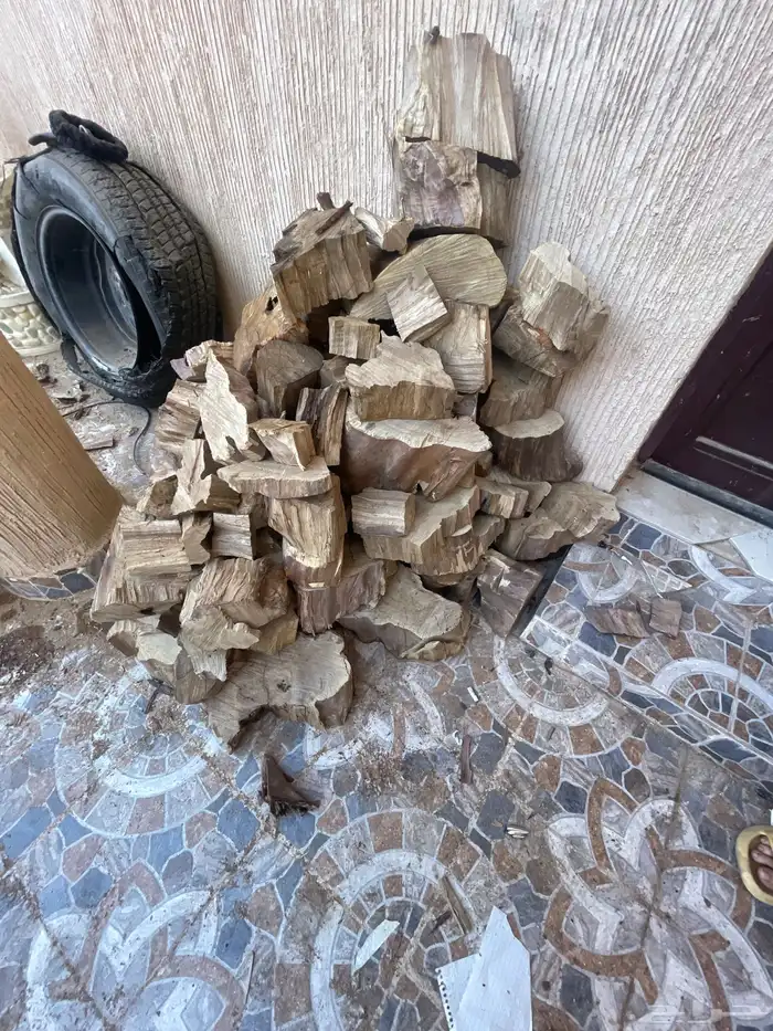 حطب من شجرة زيتون للبيع مع برادة الخشب 0