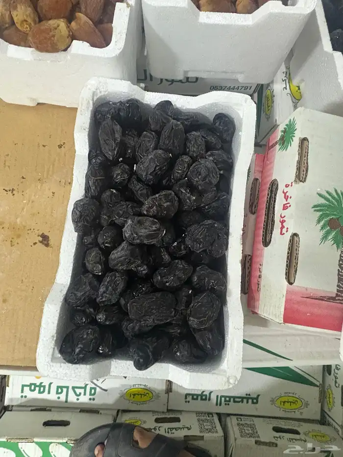 عجوه رطب 1