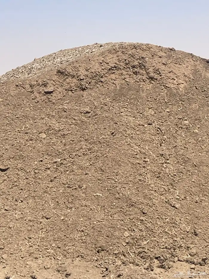 سماد دجاج بياض بطاريات 1