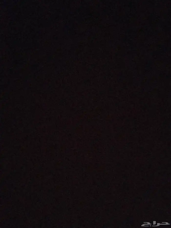 بط مصري 0