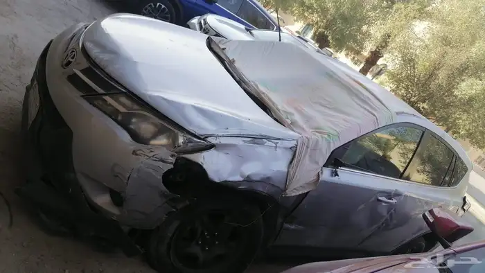 راف فور 2014 1