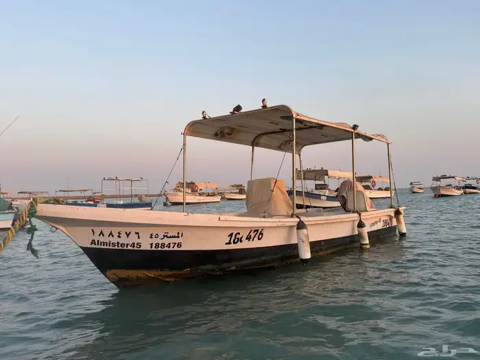 قارب الضاعن 2