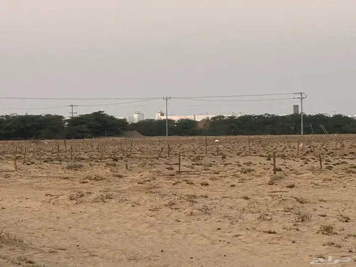 ارض على طريق جده الليث بصك زراعي 0