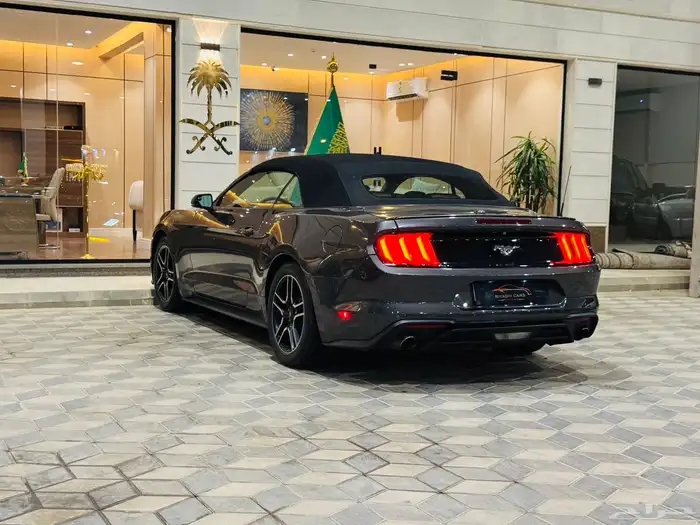 موستنج كشف نظيف جدا 5