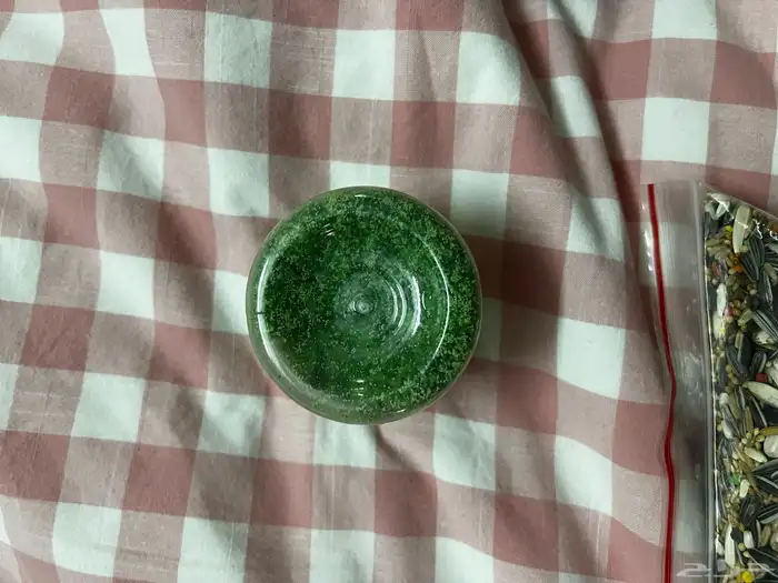 حبوب واكل طيور 3