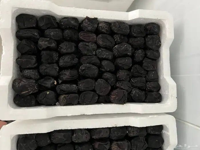 رطب عجوة المدينة 0