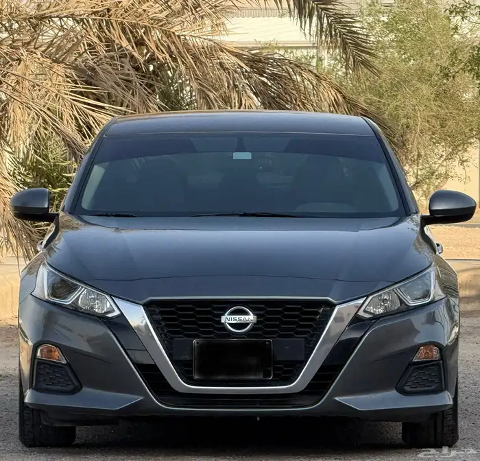 نيسان التيما 2020 ممشى (65)الف 0