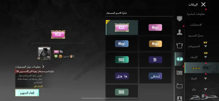 حساب ببجي للبيع 26