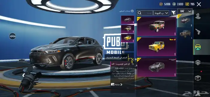 حساب ببجي 9