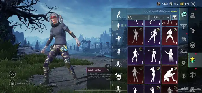 ببجي 34