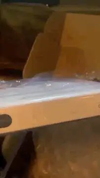 بي ان سبورت جديد 2