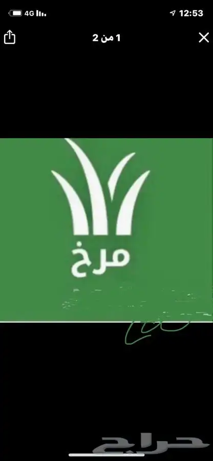سلع ومرخ ولحم وحجر مضبي جنوبي الرمال 0
