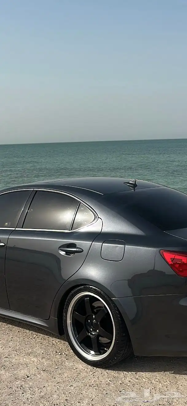 جنوط فولك رايز 1