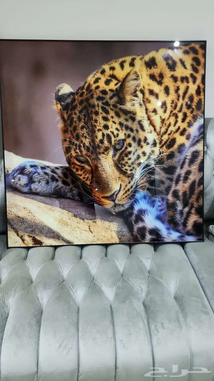 طاولة بلازما و سرير اطفال متنقل و الواح نكر وطاووس 6