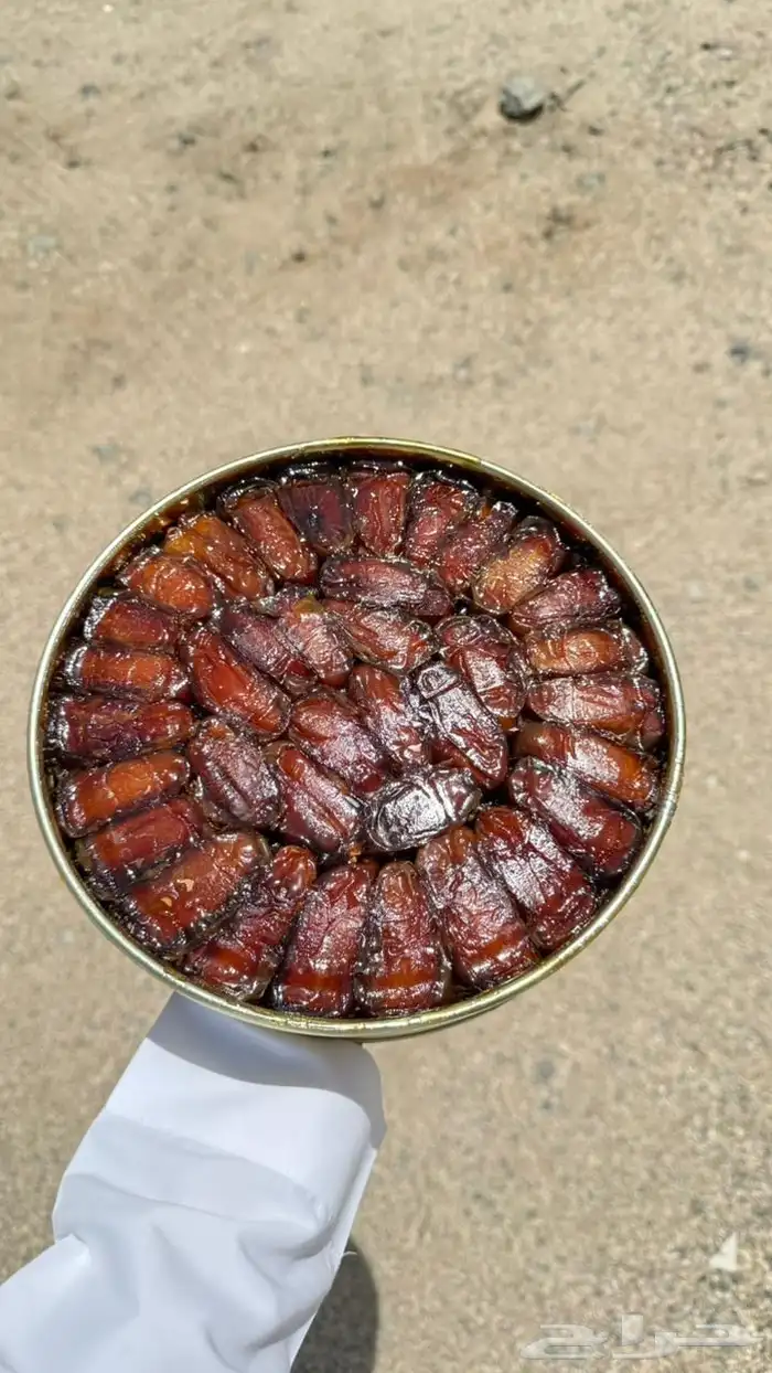 تمري صفري وادي ترج 2