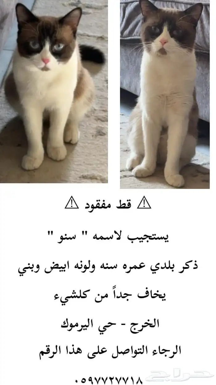 بالله اللي يشوفه لا يبخل باتصال او رساله واتس اب . 0