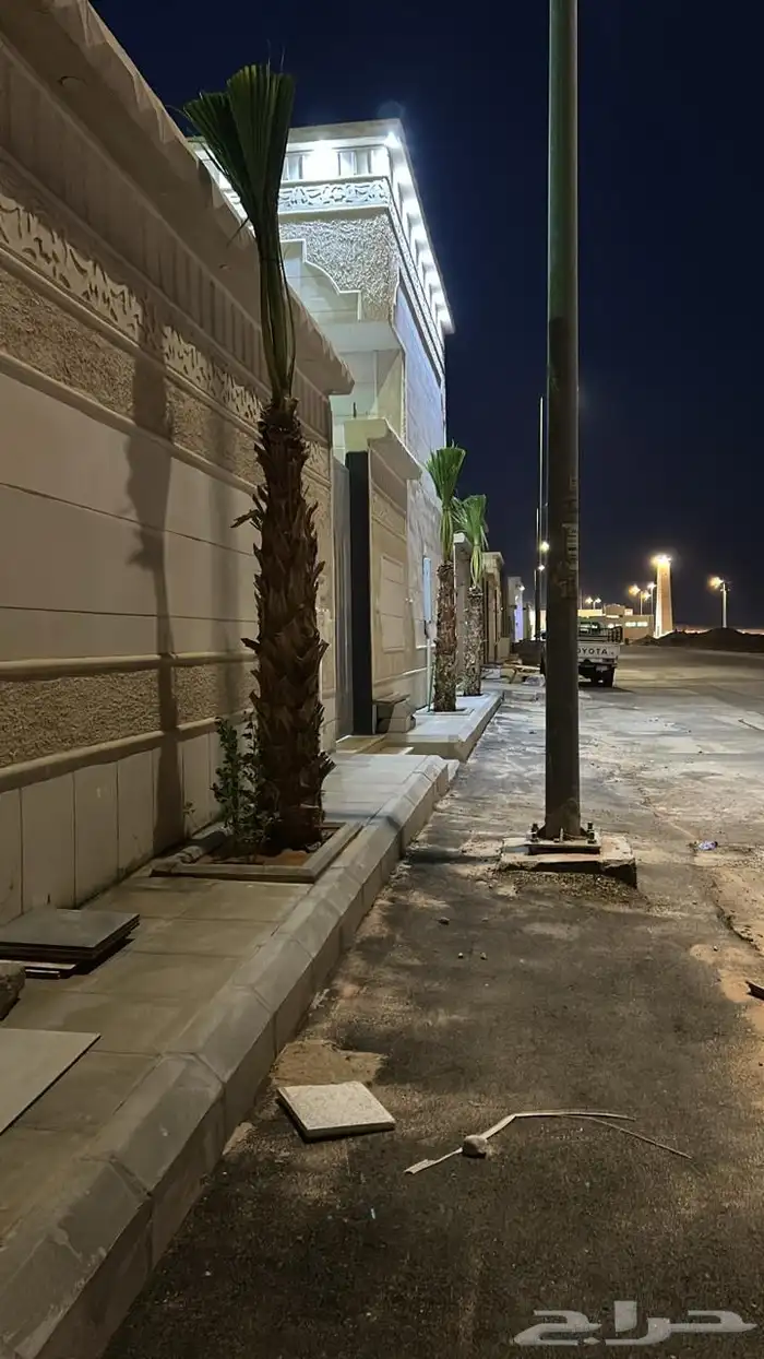 نخيل واشنطونيا للبيع بجميع انواع المقاسات لتواصل 3