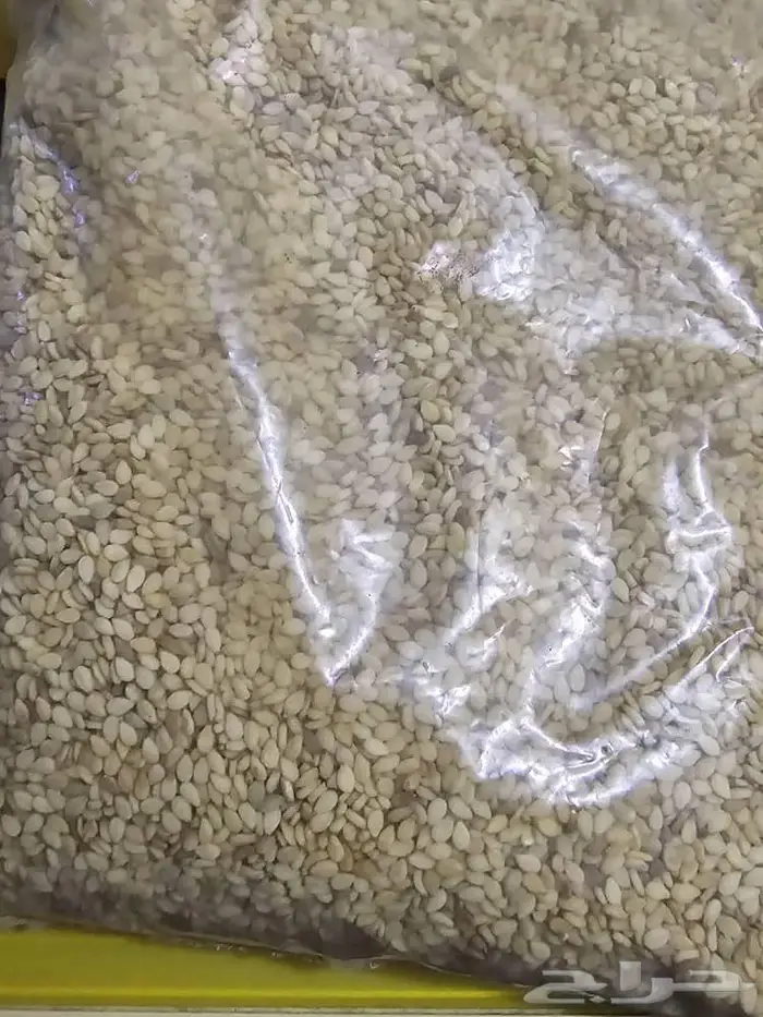 Sesame 0