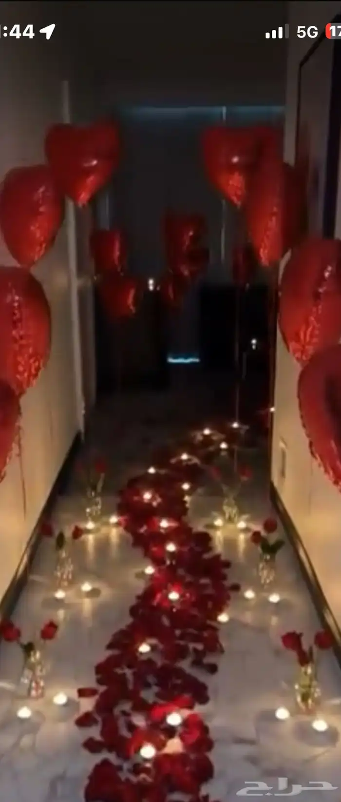 تشريع سيارات وغرف عرسان باقل سعر 10