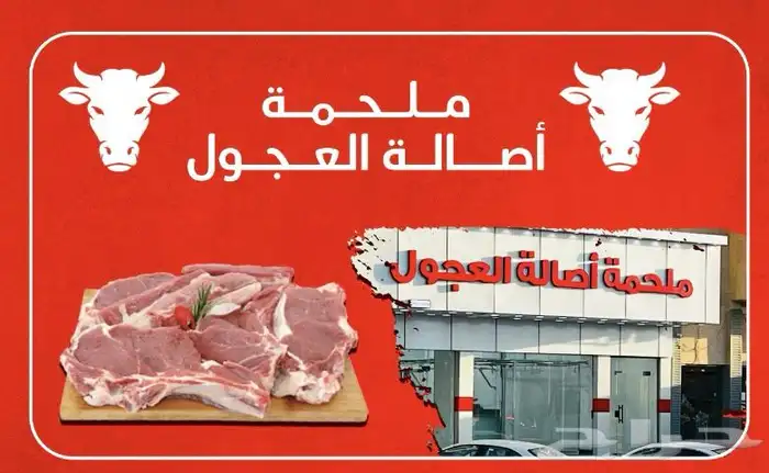 ملحمة اصالة العجول تبوك 0
