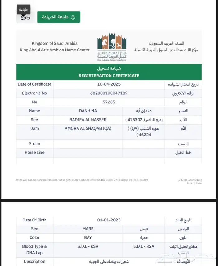 فرس بنت هلال النقيب ومهرة بنت بديع الناصر 3