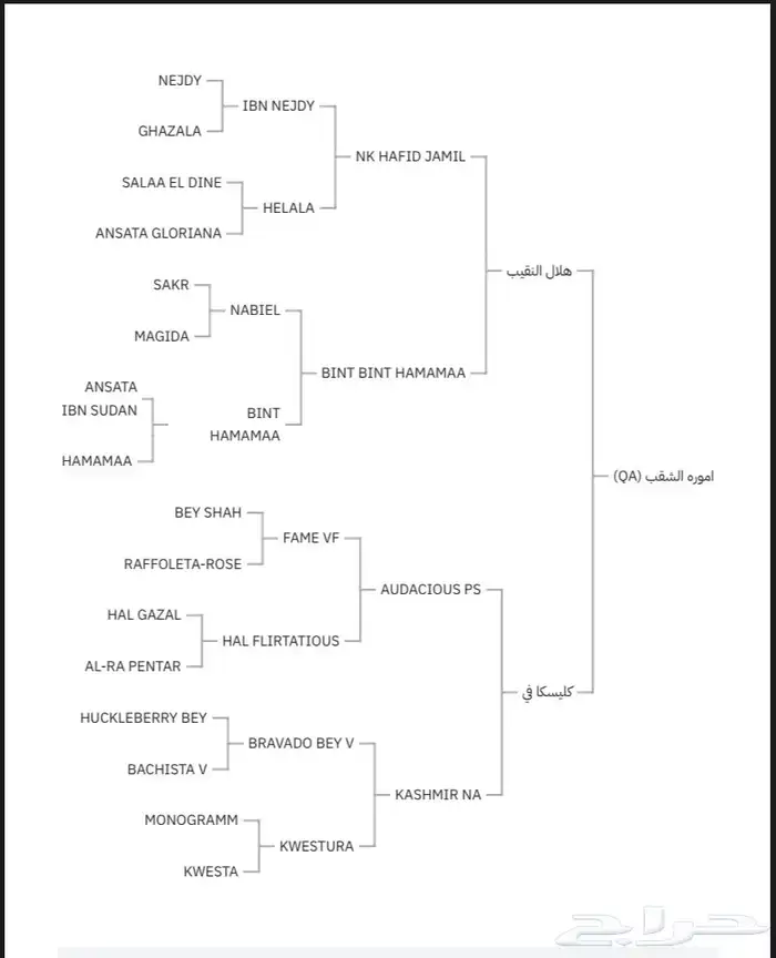 فرس بنت هلال النقيب ومهرة بنت بديع الناصر 8