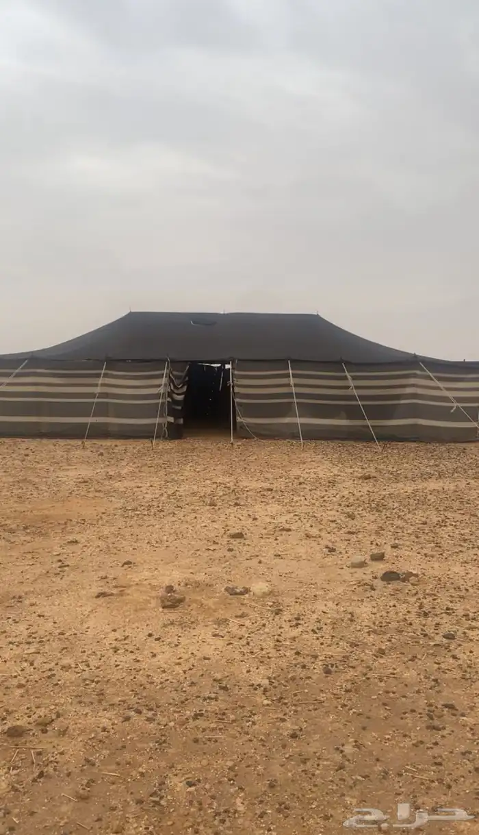 للبيع بيت شعر 3 عمدان مفرق رماح 0