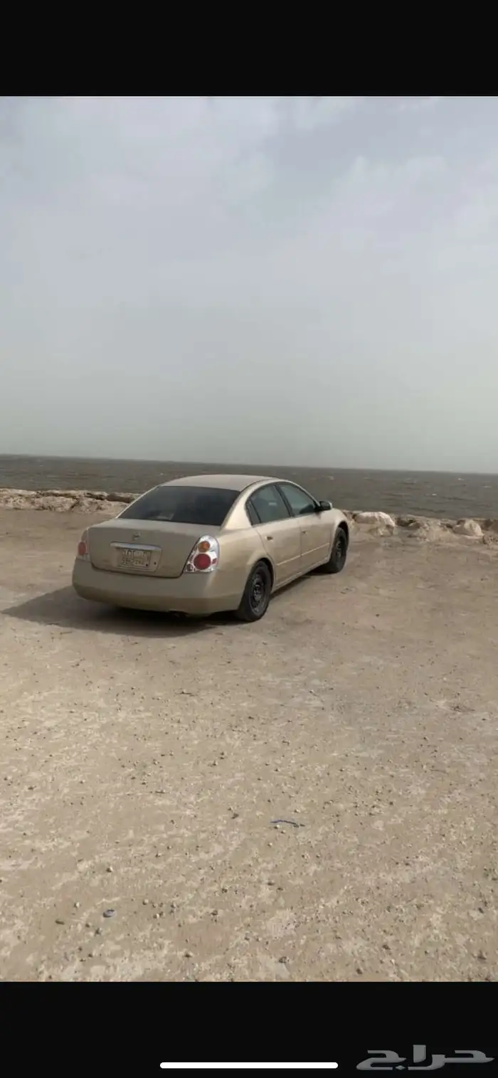 التيما 3