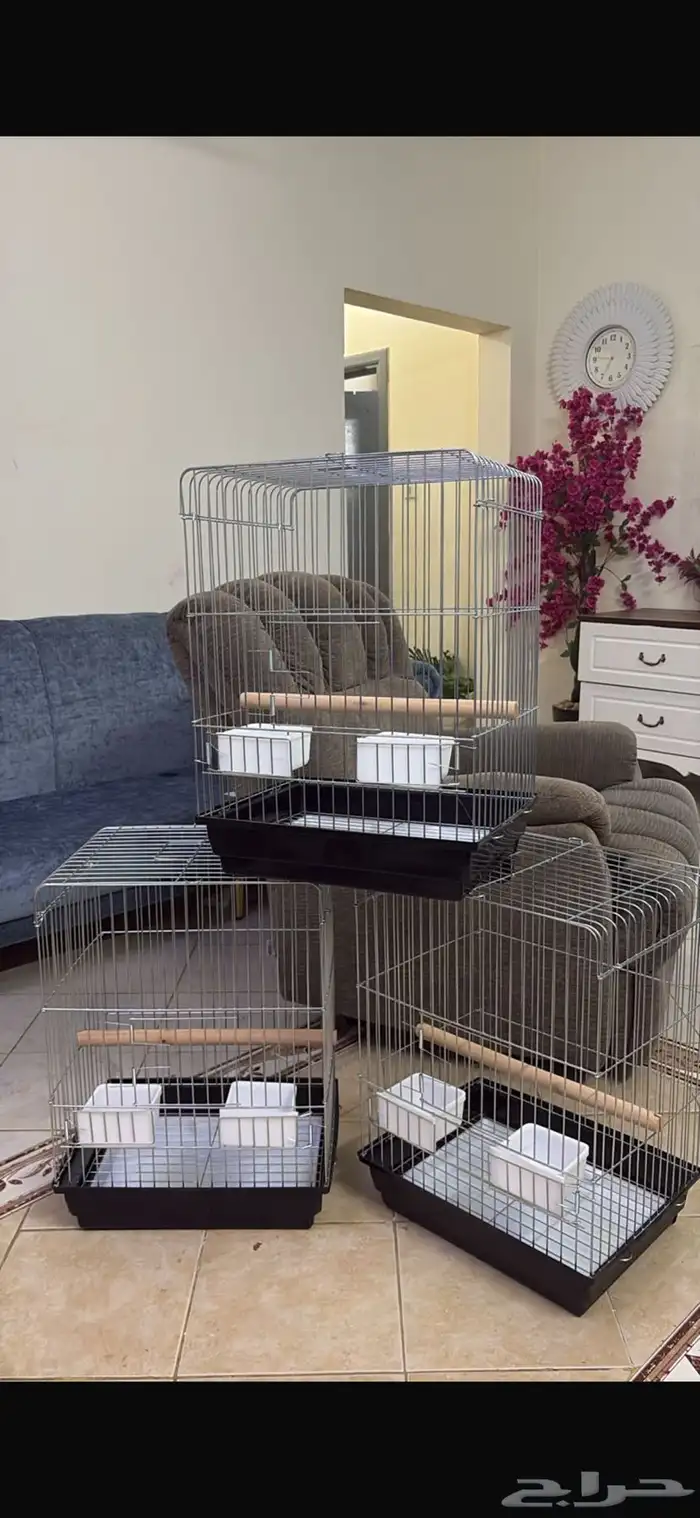 اقفص بغبغان 0