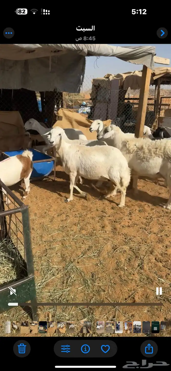 ضان دفيع 1