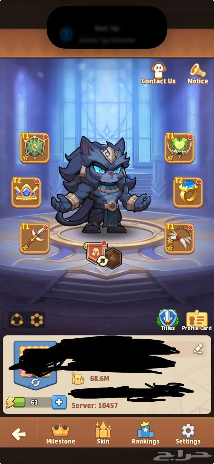 TOP HEROES 0