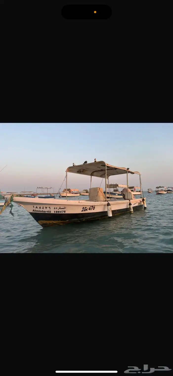 قارب الضاعن 0