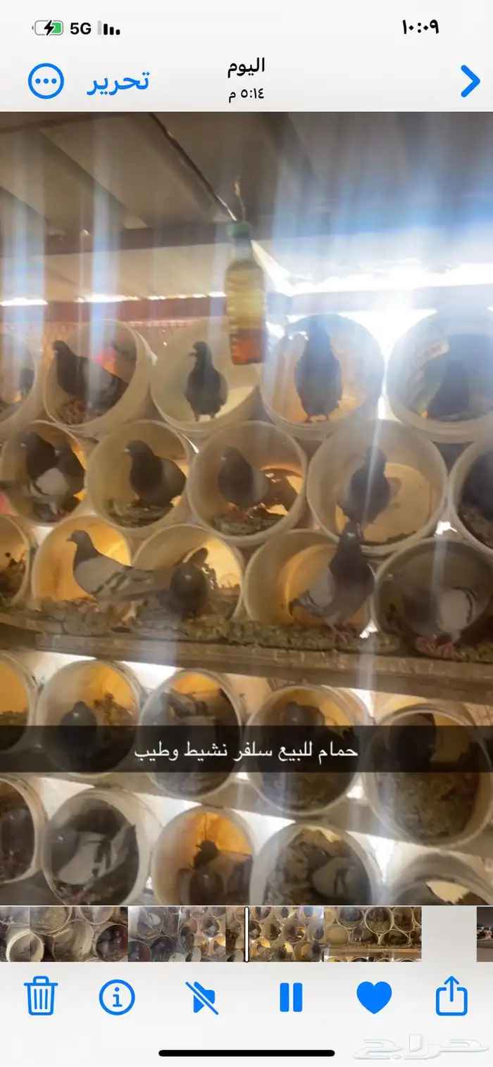 القصيم -الأسياح-قبه 1