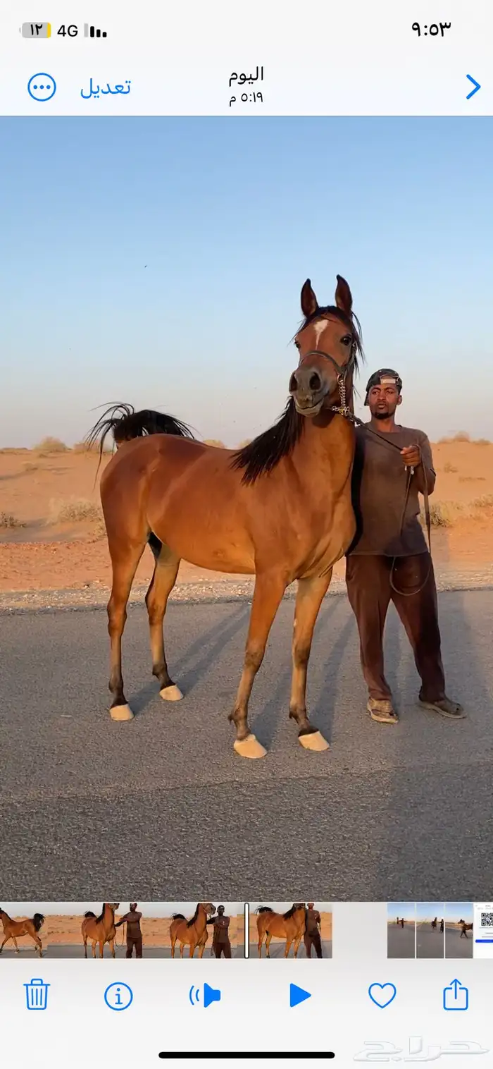 مهره واهو 2