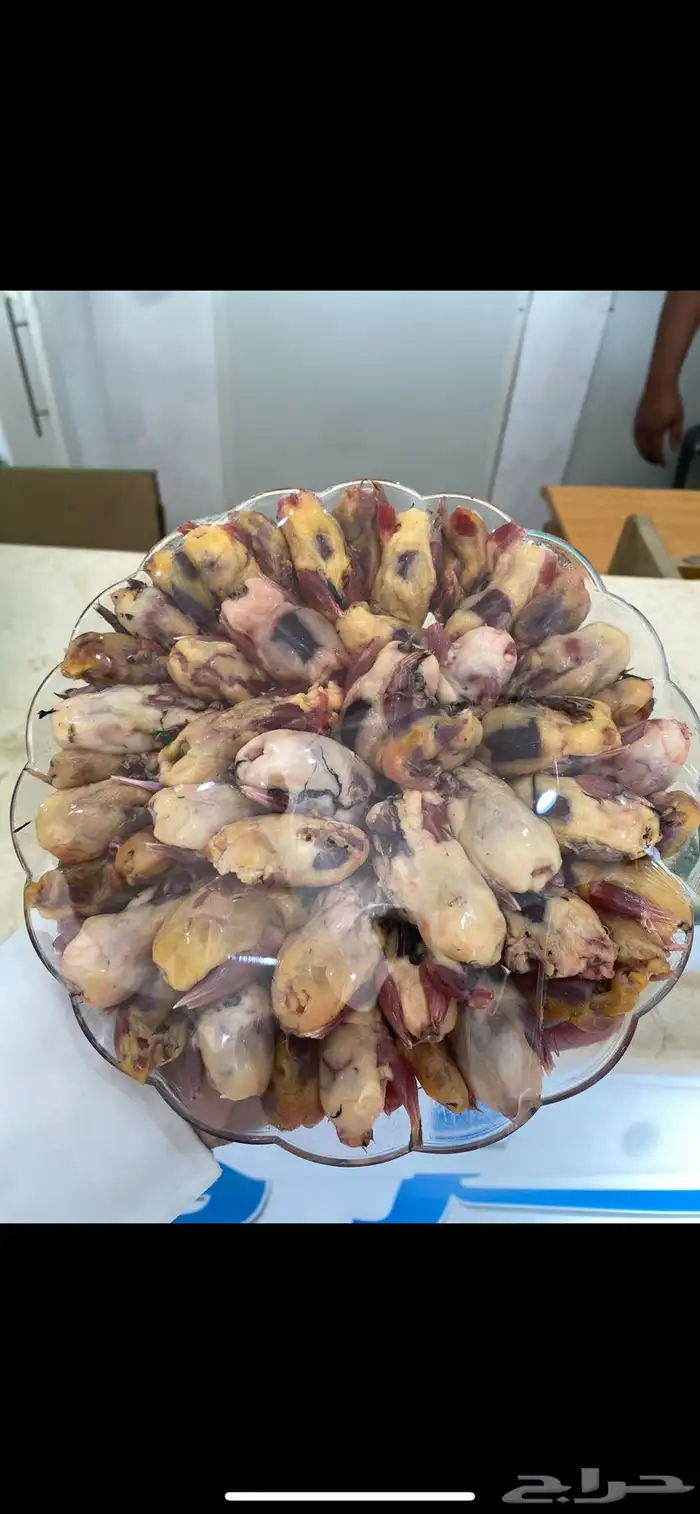 صفار سمان دخل 4