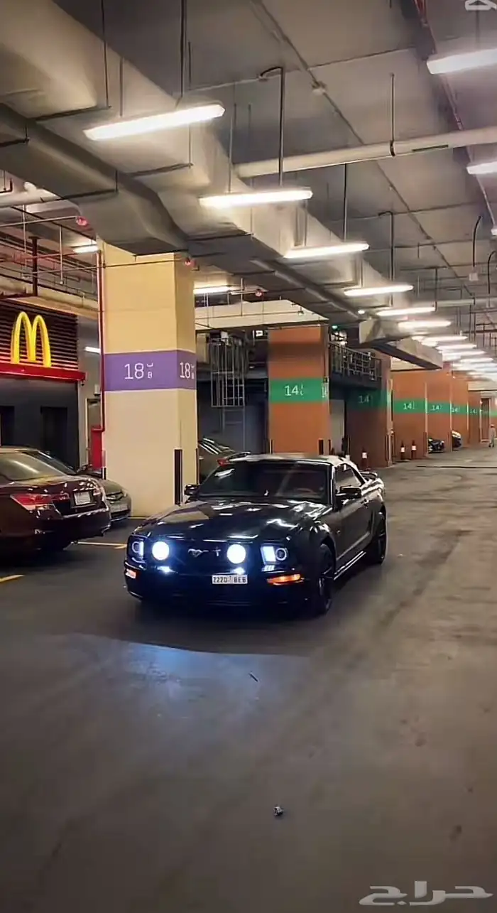 موستنج V8 كشف 2006 للبيع 1