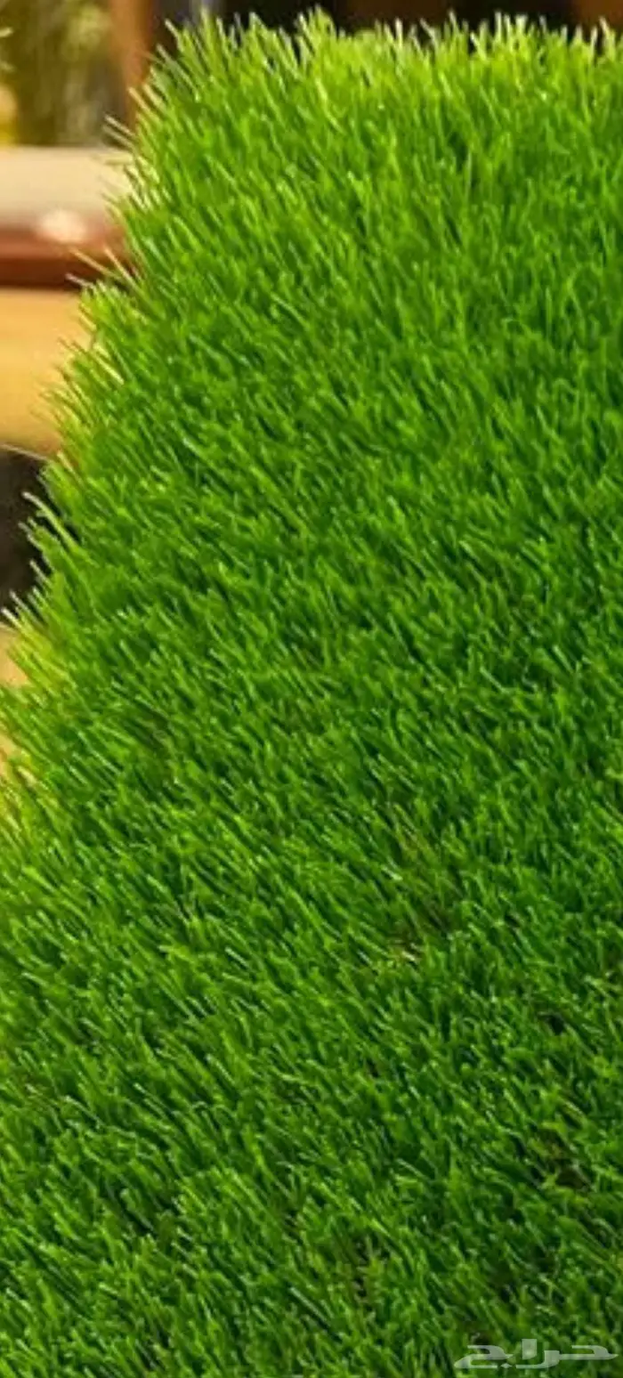 جلسات خارجية 7