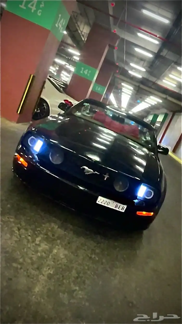 موستنج V8 كشف 2006 للبيع 3