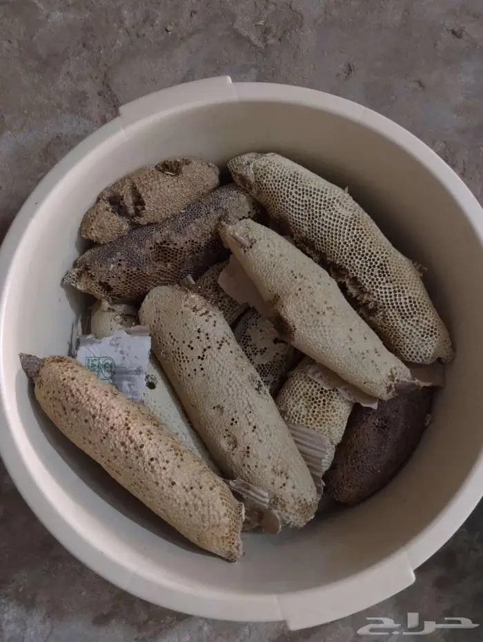 عسل بري حر الكيلو ب100  الشحن 29 ريال من كيلو الى 15 كيلو 2
