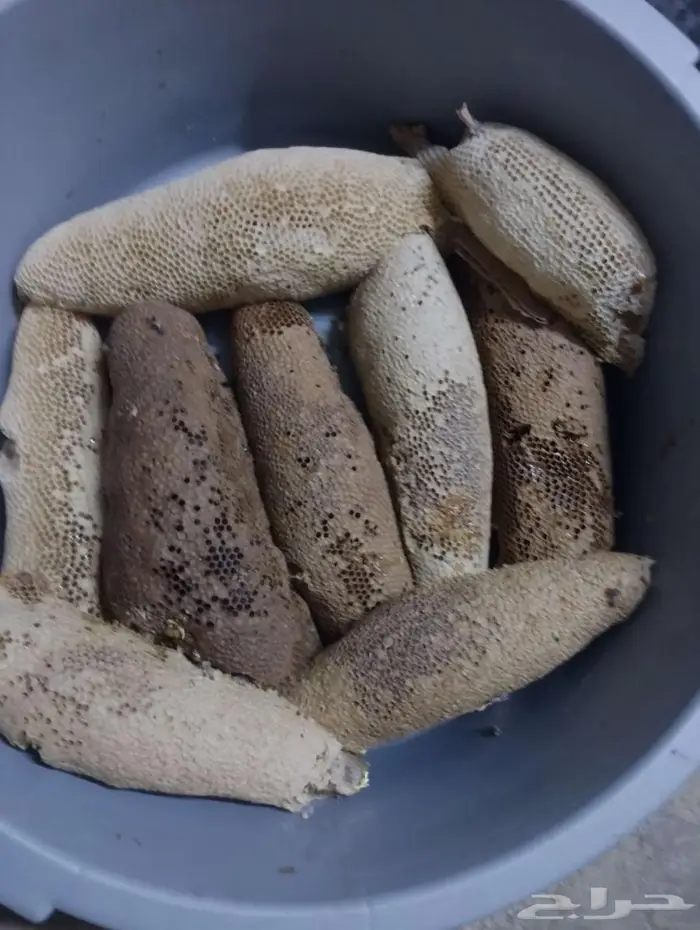 عسل بري حر الكيلو ب100  الشحن 29 ريال من كيلو الى 15 كيلو 0