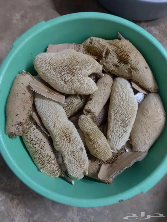 عسل بري حر الكيلو ب100  الشحن 29 ريال من كيلو الى 15 كيلو 3