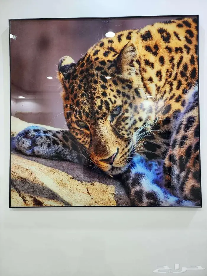 طاولة و العاب و شاشه للبيع 3