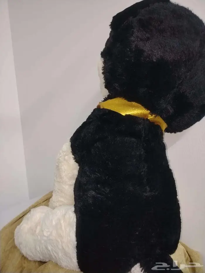 دبدوب حجم كبير جديد وقمة النظافة للبيع 3