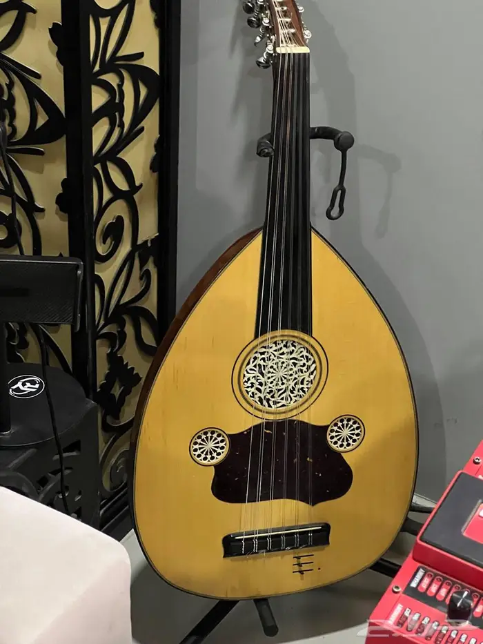 عود كهربائي ناجريان امريكي استخدام قليل نظيف جدا ماشاء الله 0