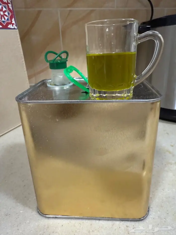 تبوك حي القادسيه 0