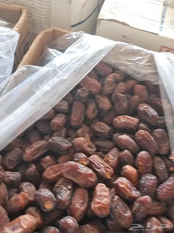 تمر خضري للبيع 3